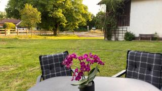Feilchenhof - Freilassing - 8