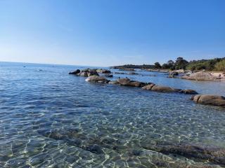 Appartamento a due passi dal mare - 0