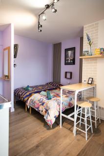 Cozy compact studio France - Saint-Louis - 8