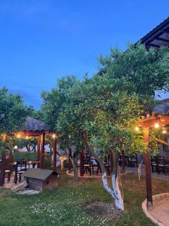 Hotel Kaceli - Berat - 4
