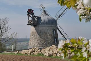 Holländermühle Tultewitz - - 8