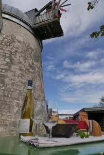 Windmühle Tultewitz - 2