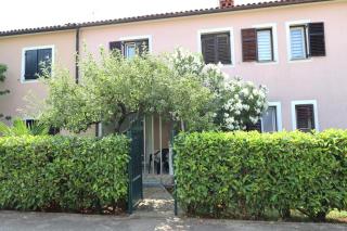ANA house with apartments - Umag - 0