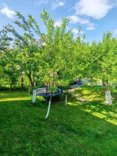 Epic Glamping - Călimăneşti - 4