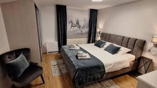 New!!! Family Villa Ana - Luxury Whirpool & Sauna - Trviž - 5