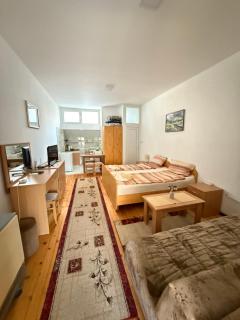 Apartman Nikola VB - Vrnjačka Banja - 1