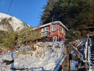 Downtown Juneau Hillside Cabin - Juneau - 4