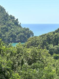 Sun Apartment - Petrovac na Moru - 5