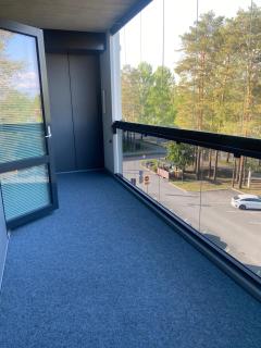 Pikkukaksio yliopiston vieressä - Joensuu - 3