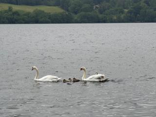 Lindisfarne Cottage in Windermere - Windermere - 8