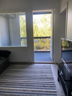 Pikkukaksio yliopiston vieressä - Joensuu - 8