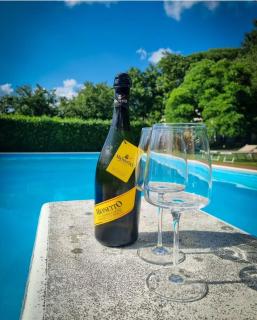 La Tenuta Del Conte - 7