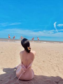 Flamingo Hải Tiến - Khách sạn 21 tầng - 5