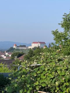 Rezidenca Vista Lux - Ptuj - 0