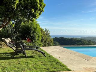 Villa Mustique - Perfect tropical paradise - El Limón - 2