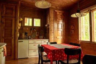 Scandinavian summer cottage in Asikkala - Asikkala - 9