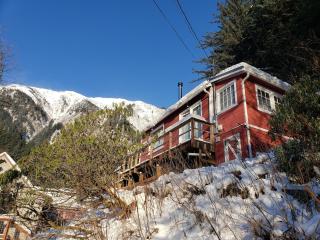Downtown Juneau Hillside Cabin - Juneau - 1