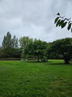 Menthe - Challans - 7