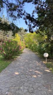 Villa San Marco chambre d hôtes - Lorgues - 7