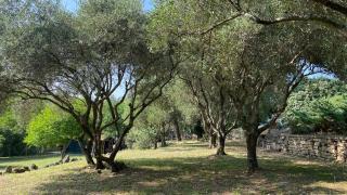 Villa San Marco chambre d hôtes - Lorgues - 6