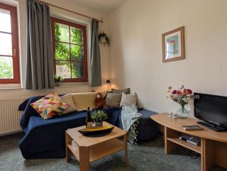 Ruhiges Studio in Altstadt mit Gartenblick & Sofa - Freiberg - 1