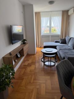 DarViva Apartment Niš, center, private garage parking, river view - 9