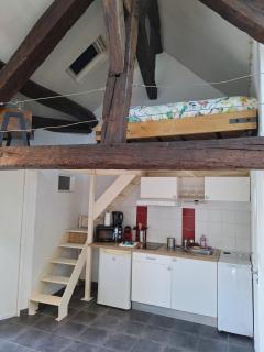 Bords de Loire - Climatisé - 4 personnes - Hypercentre Orléans - 9