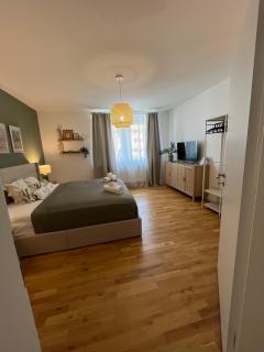 Gemütliches Apartment I Mitten in der Stadt Aschaffenburg I 5 Min HBF I Gegenüber City Galerie - Aschaffenburg - 2