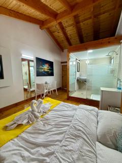 Vlad Wood Spa and Villa - H̱osen - 4