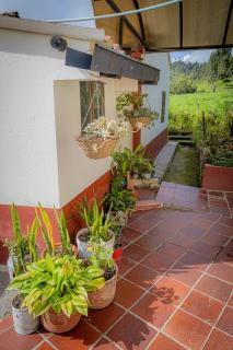 Finca Casa Del Pino - 5