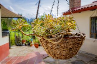 Finca Casa Del Pino - 1
