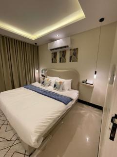 شقة بغرفة وصالة فاخرة - 0