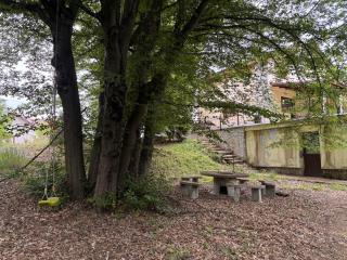 Cabana Lacul Surduc - - 7