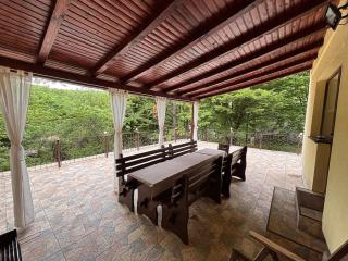 Cabana Lacul Surduc - - 1