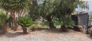 Casa Elena - Viñuela - 9