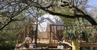 Les Robinsonades - 8