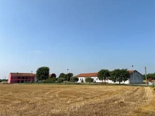 Agriturismo Al Preve - Ponzano Veneto - 8