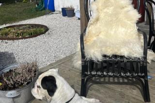 Cozy Coastal Haven in Havdhem - 2