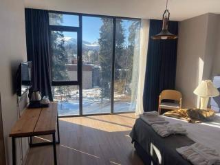 Flat in Bakuriani forest - 0