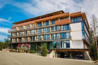Flat in Bakuriani forest - 9