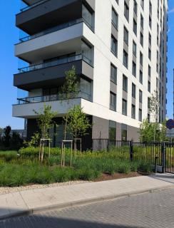 GoldClass Apartament - Kattowitz - 4