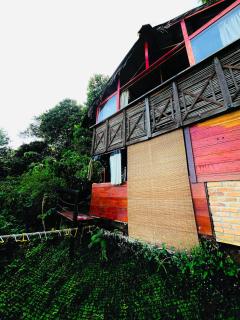 Hostal Colibri Minca - Minca - 5