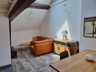 Bords de Loire - Climatisé - 4 personnes - Hypercentre Orléans - Orléans - 4