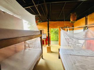 Hostal Colibri Minca - Minca - 9