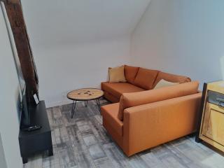 Bords de Loire - Climatisé - 4 personnes - Hypercentre Orléans - Orléans - 2