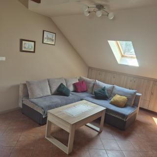 Apartament GRZEŚ - Wielen Zaobrzanski - 1