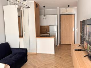 APARTAMENT CEGLANA 55, przy szpitalu okulistycznym, darmowe miejsce w garażu podziemnym, udogodnienia dla niepełnosprawnych - Katowice - 5