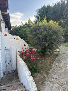Casa en Cañón de las Buitreras - El Colmenar - 1