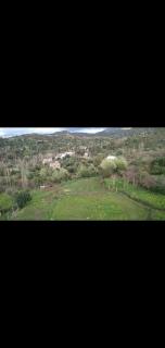 Bouadel taounate - Fez - 7
