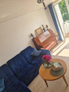 Pušų lašas apartamentai - Birštonas - 8